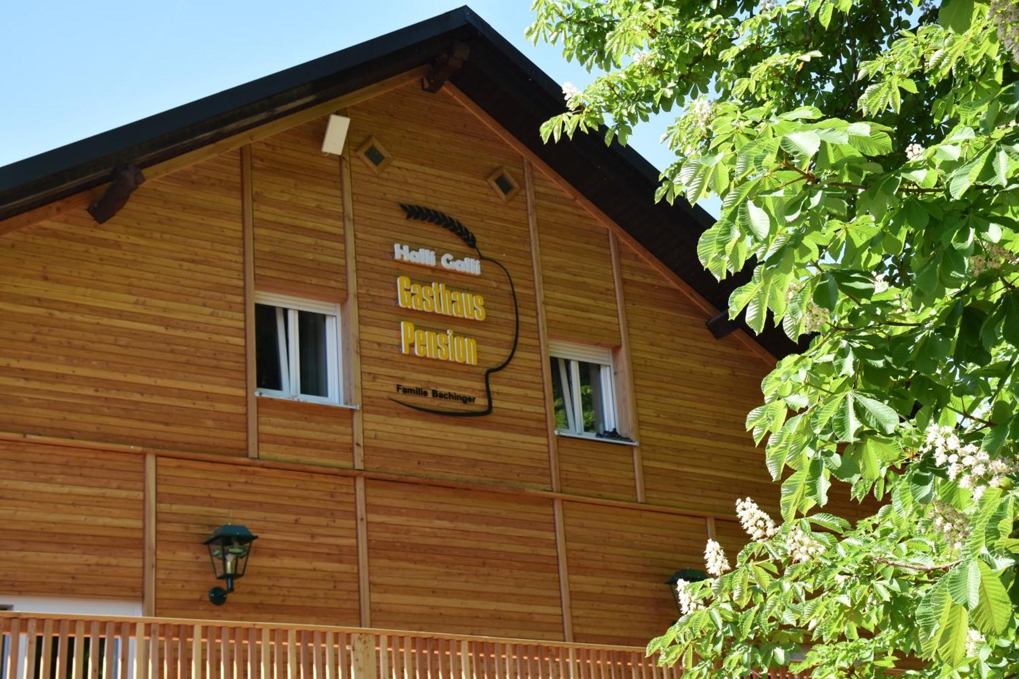 Gasthaus Und Pension Halli-Galli パッサウ エクステリア 写真